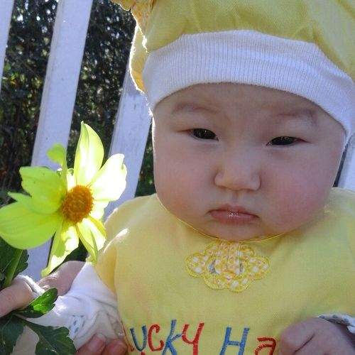Жасмина