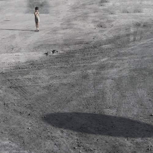 Landed on the moon