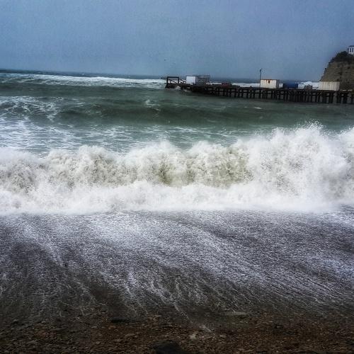 Photo #2281398