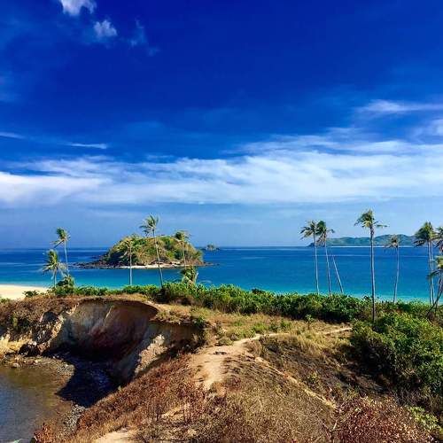 Vitamin Sea for Free
