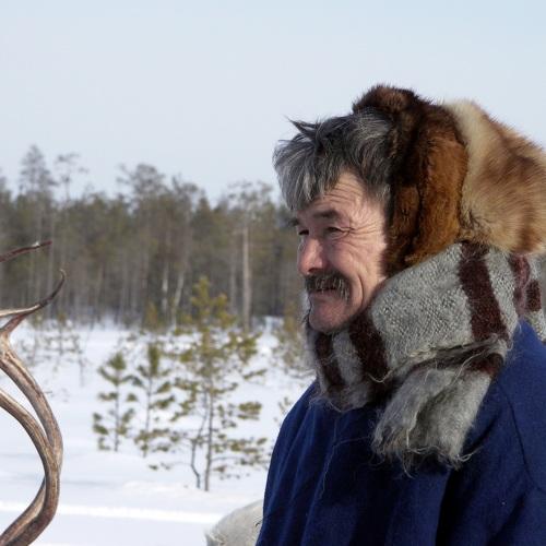 Оленевод