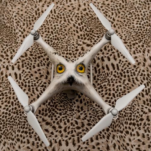 Copter + )
