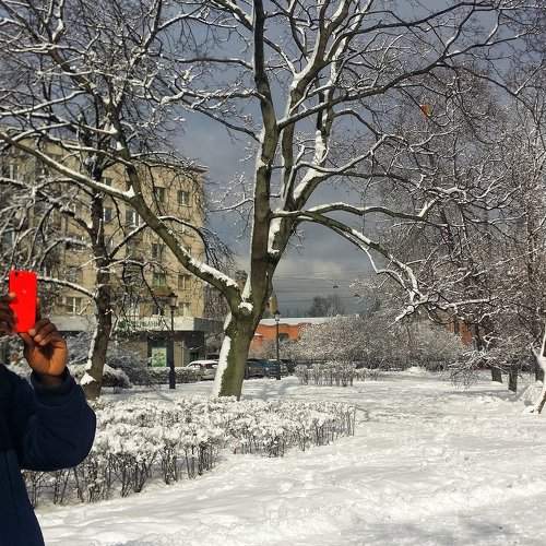 Photo #2283781
