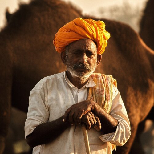Camel Merchant