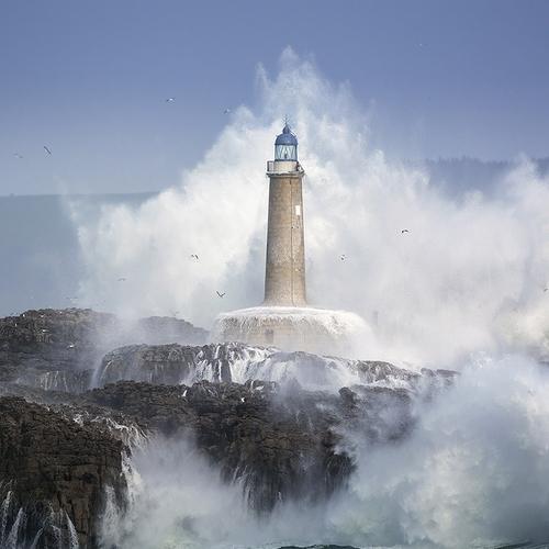 Wild coast