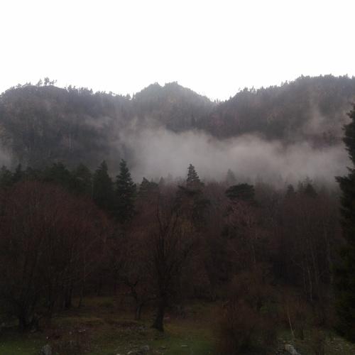 TEBERDA: WHEN THE RAIN IS FALL
