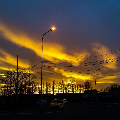 Photo #2286751
