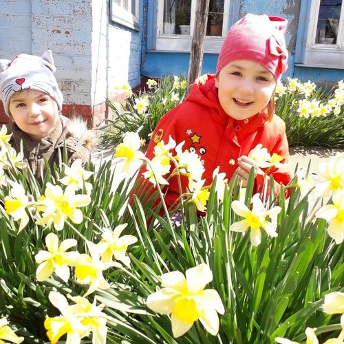 Photo #2287204