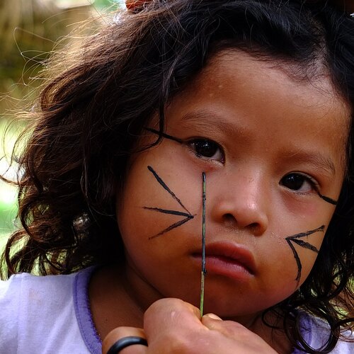 Indigena Guarani do Brasil
