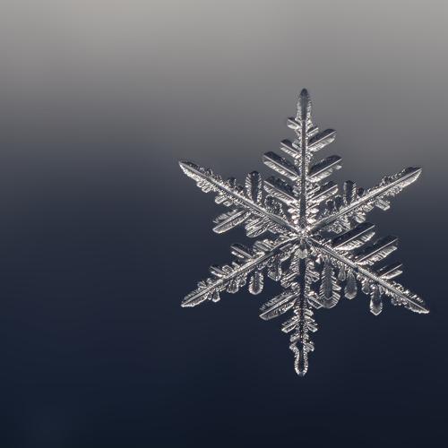 Snowflacke / Снежинка