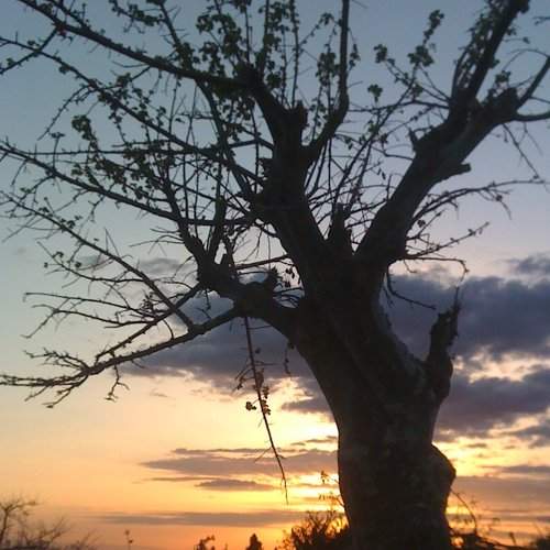 Sunset at hammer village