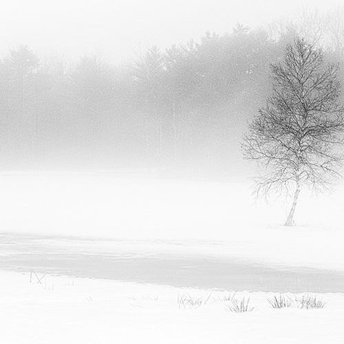 Solitude