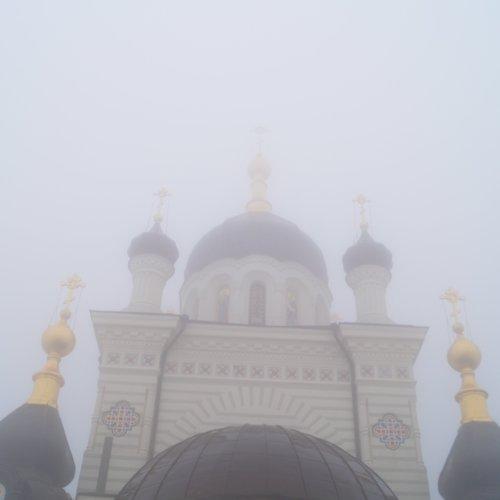 Photo #2293291