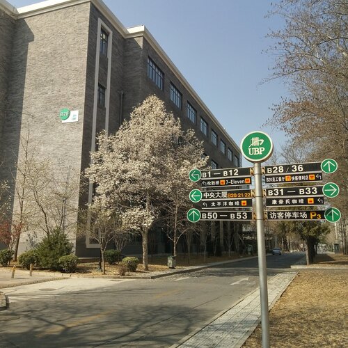 Spring on the China street