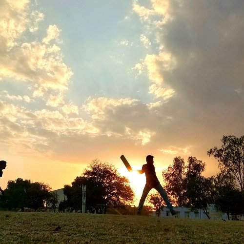 Cricket in the clouds
