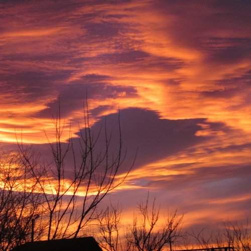 Photo #2295521