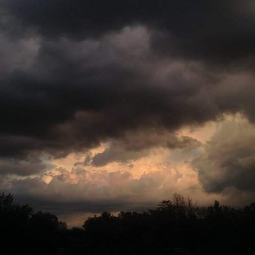 Photo #2295527