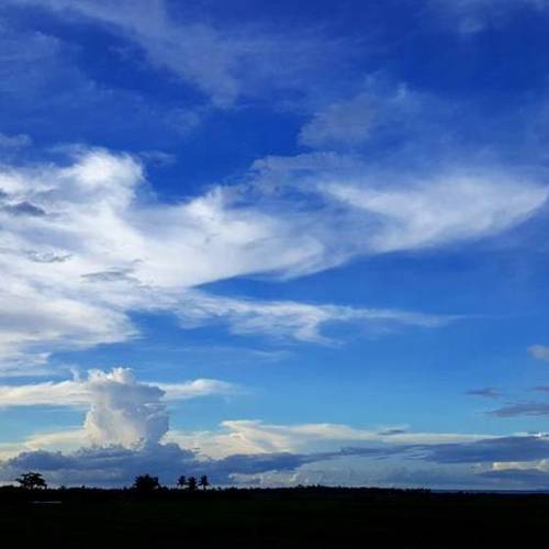 The Horizon