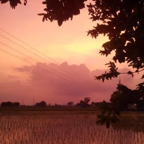 Nature