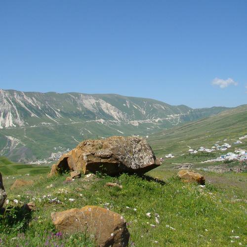 Немые свидетели