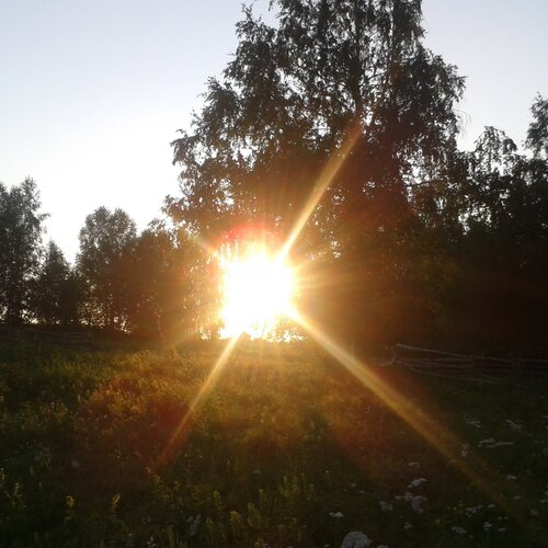 Природа