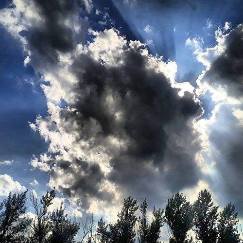 Photo #2296661