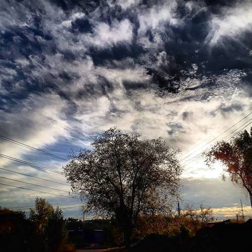 Photo #2296671