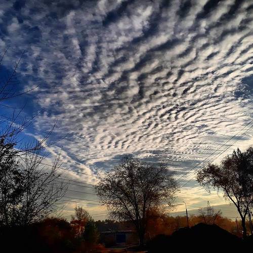 Photo #2296672