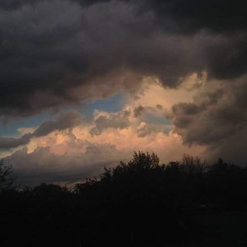 Photo #2298186