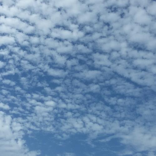 White Clouds
