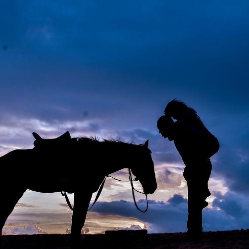 Silhouettes
