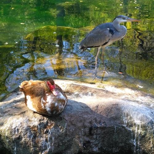 Photo #2300041