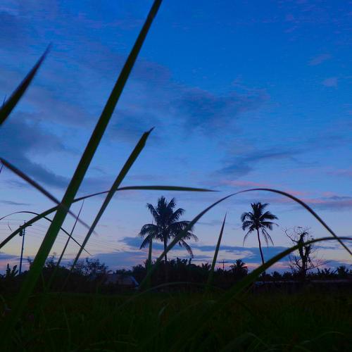 Sun down in the Wilderness
