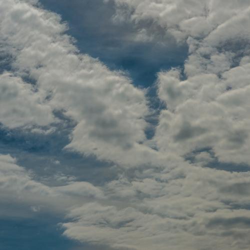 Photo #2300656