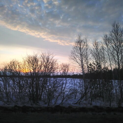 Photo #2301248