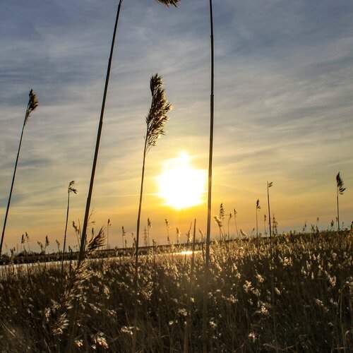 Photo #2301878