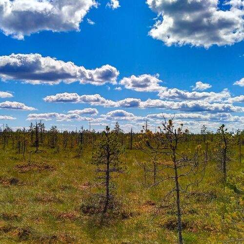 Photo #2302189