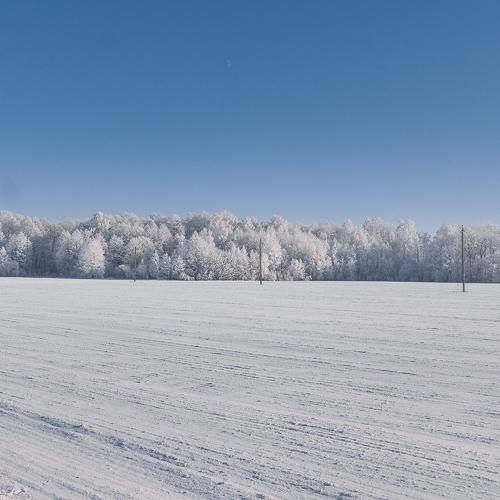 Photo #2303213