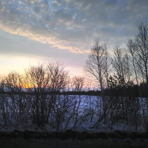 Photo #2303655