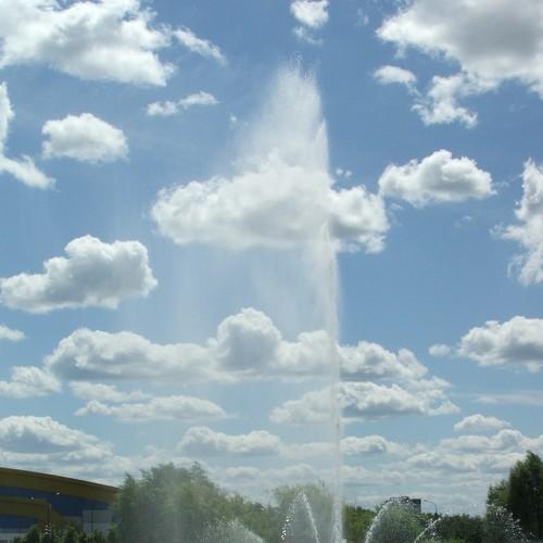 Photo #2305503