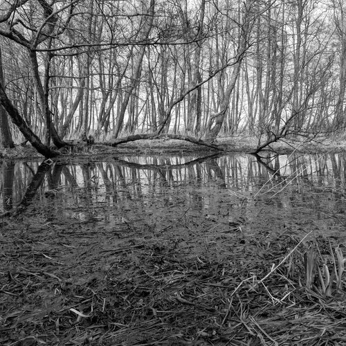 Silence