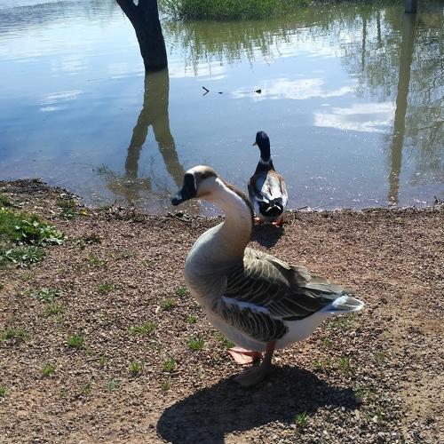Photo #2306545