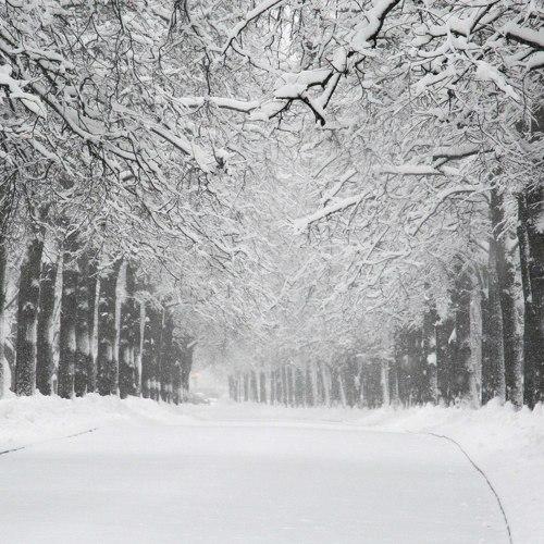 Photo #2307094