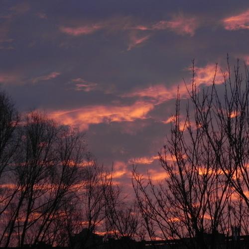Earlier morning