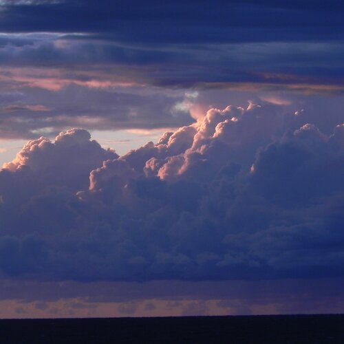 Photo #2307154