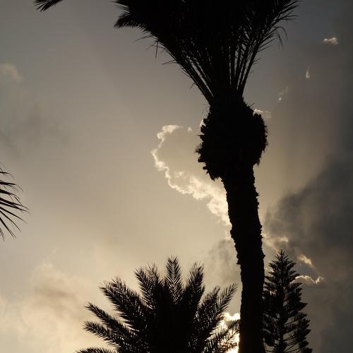 Photo #2307383