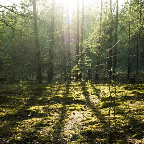 Photo #2307457