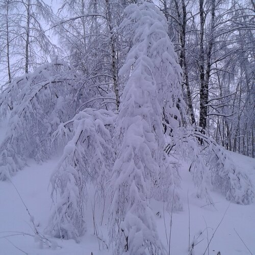 Зима косички заплетает