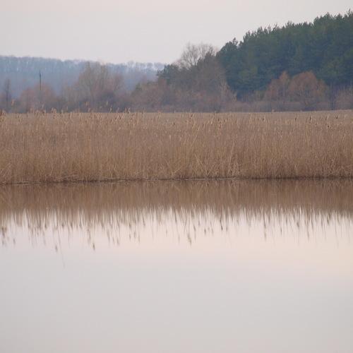 река