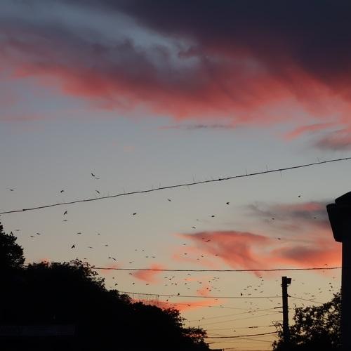 Photo #2308876